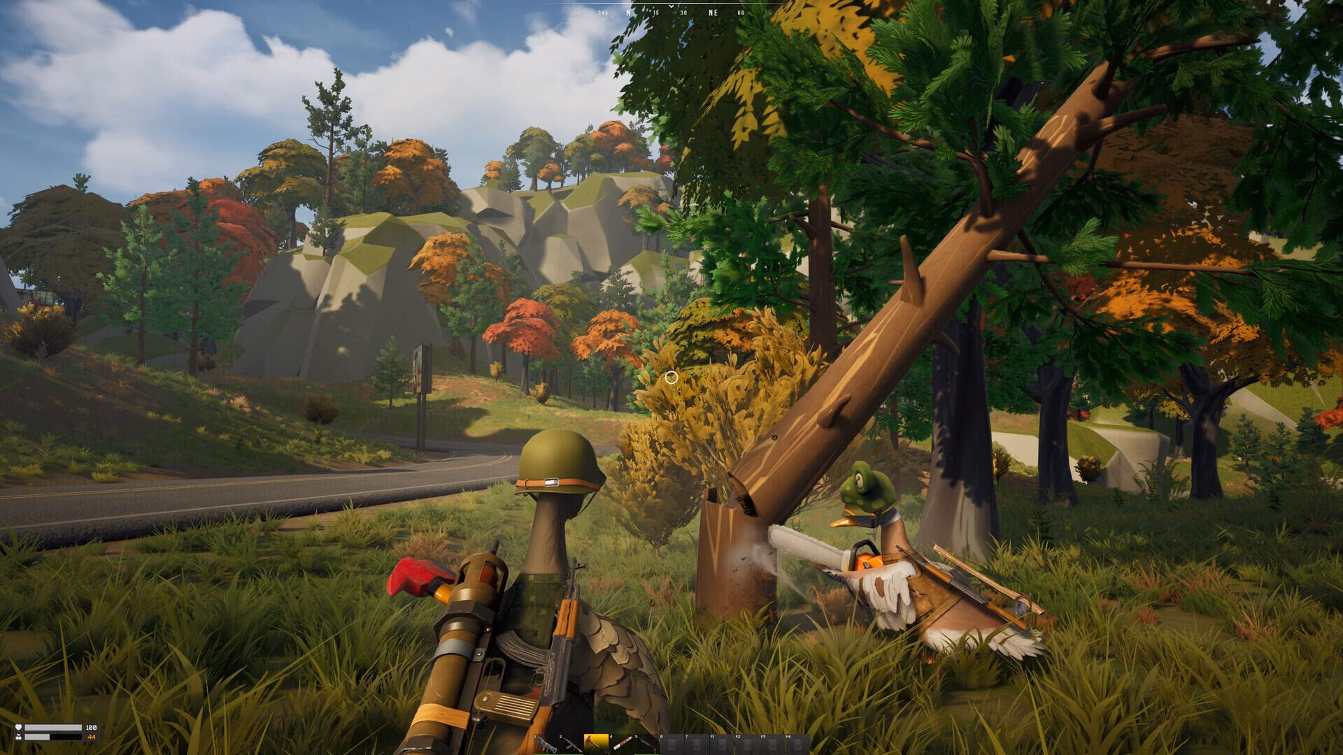 Duckside Server Hosting